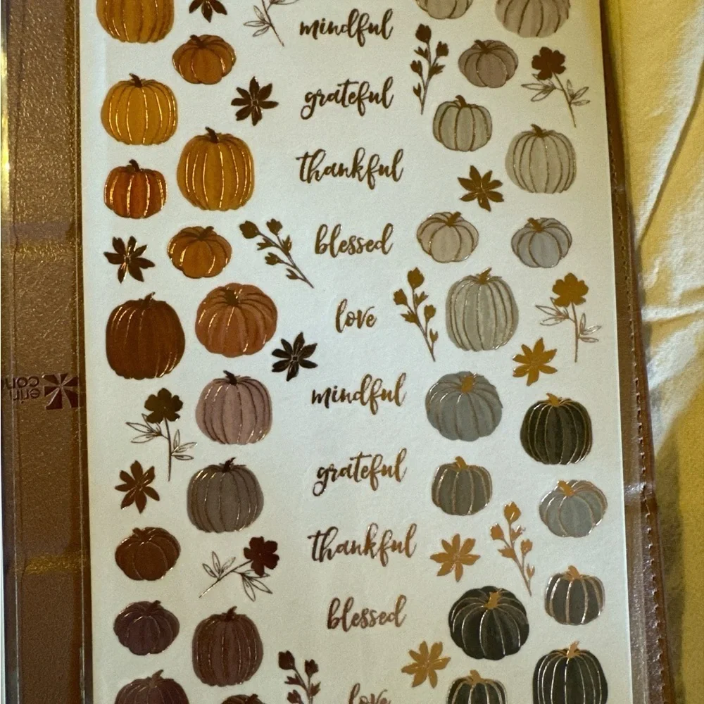 Erin Condren Planning Tri Fold Rose Gold Folio, planner tablet, sticker sheet